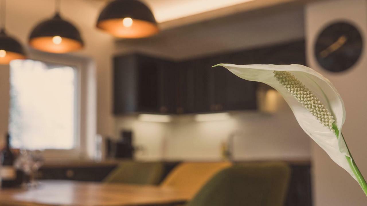 Apartment Ninetyfour Annaberg im Lammertal Eksteriør billede